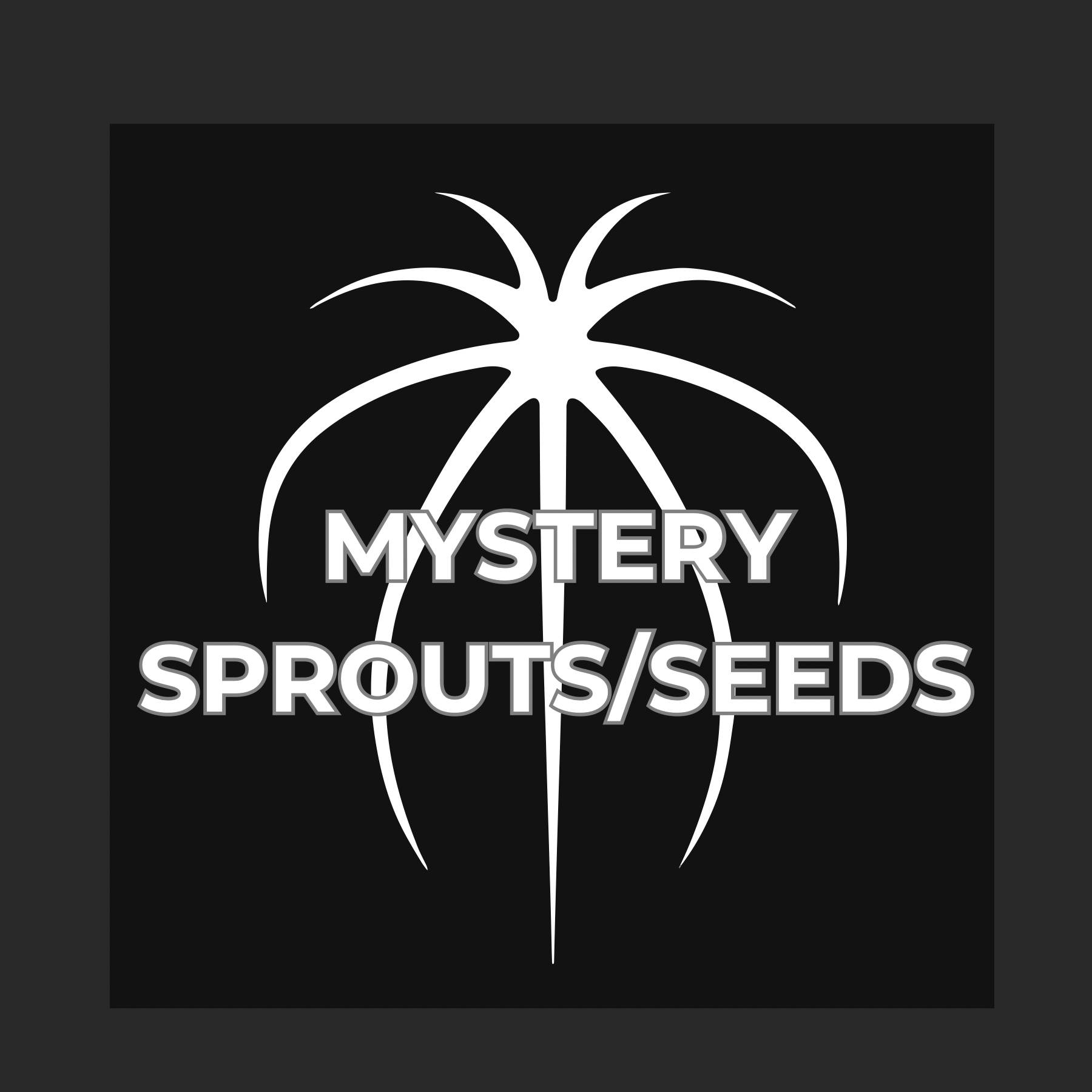 Mystery Seed/Sprout - Granthuriums
